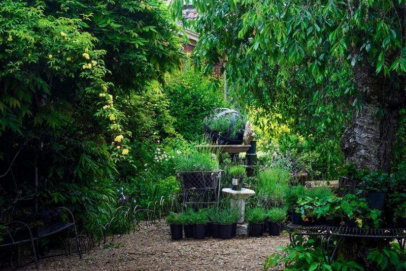 Préparer son jardin pour le printemps avec Jardins Montclaire