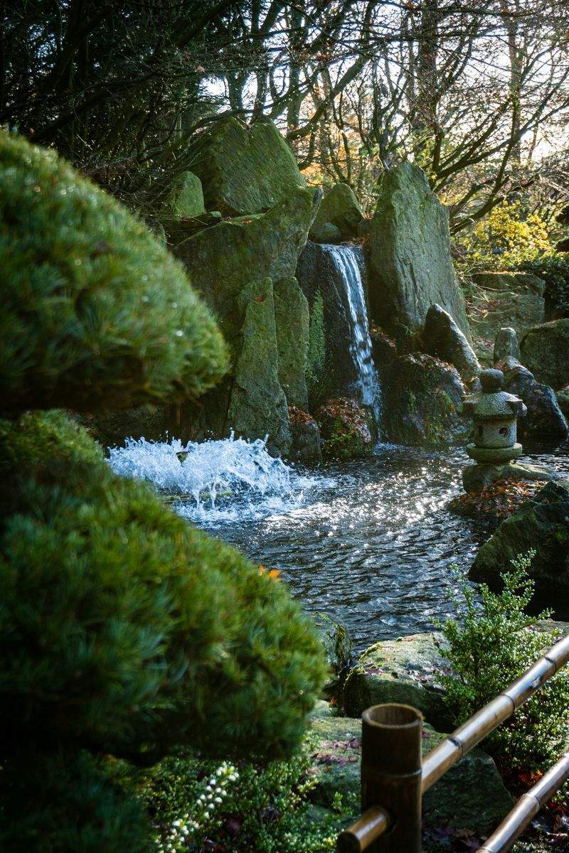 Jardins Montclaire 15