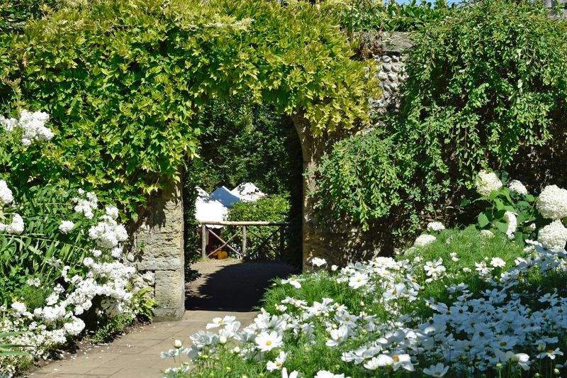 Jardins Montclaire 5