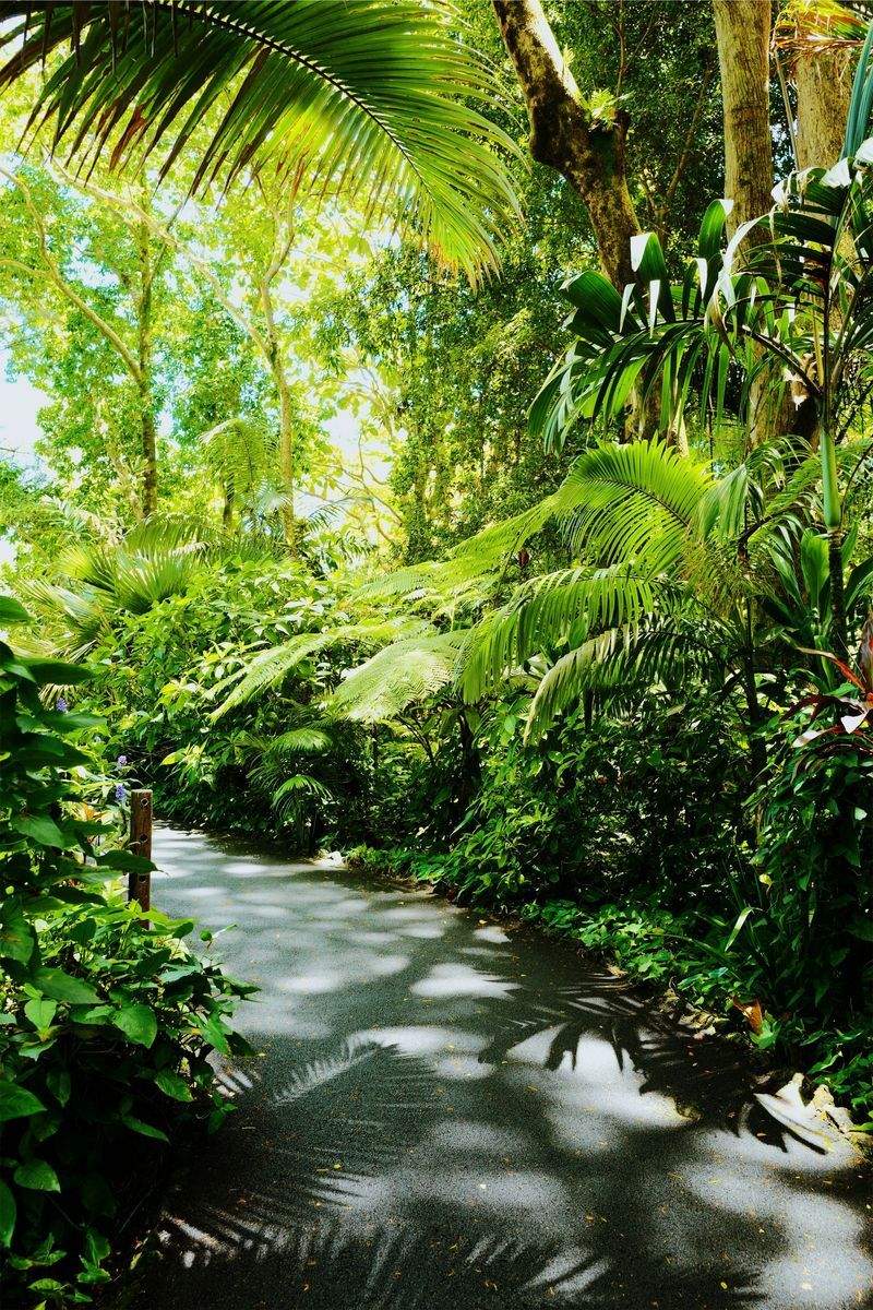 Jardins Montclaire 6