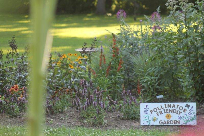 Entretien régulier des espaces verts
